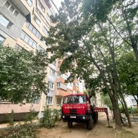 Автовышка 40 метров, Tatra - фото техники