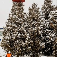 Украшение зимней елки при помощи вышки