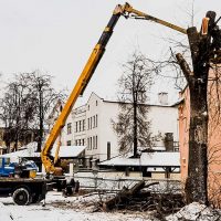 Спил веток дерева при помощи автовышки